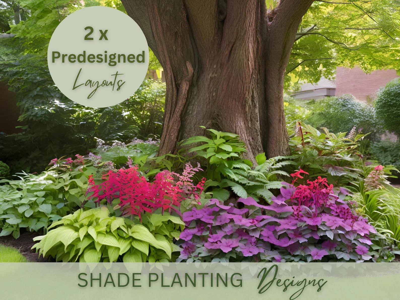 Shade Planting Landscape Design